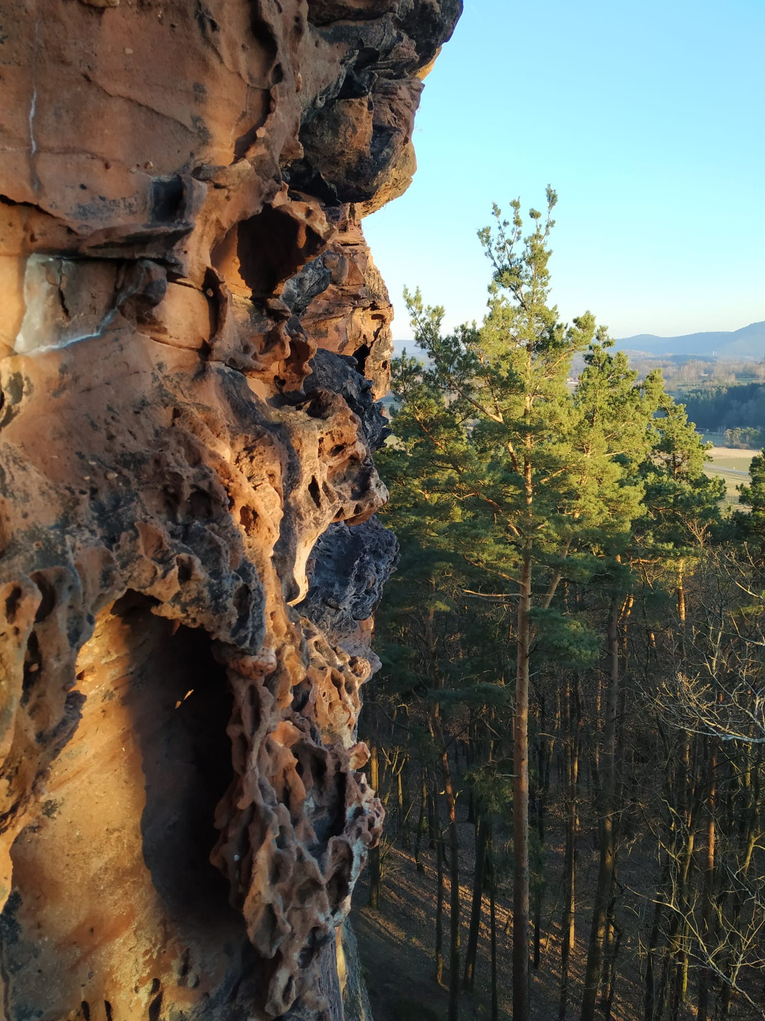 Sandsteinfels im Pfälzer Wand mit besonderer Struktur