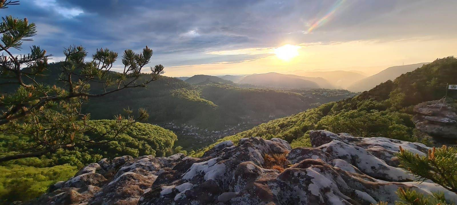Panoramabild Pfälzer Wald